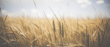 Na wsi najlepiej – 12 dobrych praktyk w turystyce wiejskiej